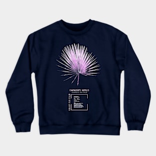 Chamaerops humilis Crewneck Sweatshirt